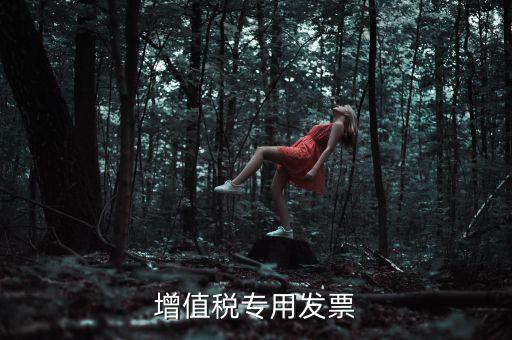 什么是增值稅專業(yè)發(fā)票，什么是增值稅發(fā)票