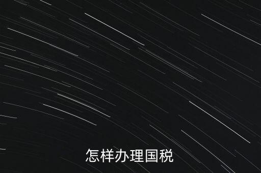 怎樣辦理國(guó)稅