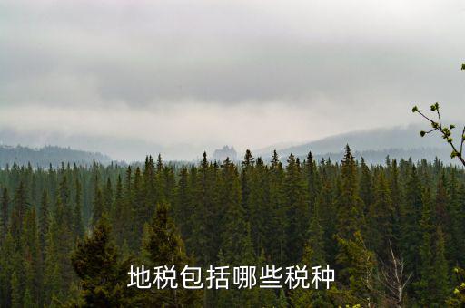 地稅包括什么，地稅包括哪些稅種