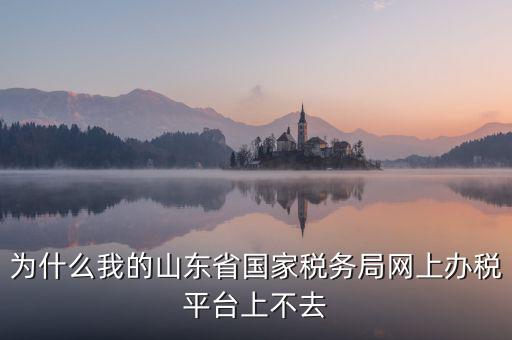 為什么登陸不了網(wǎng)上辦稅廳，為什么我的山東省國家稅務局網(wǎng)上辦稅平臺上不去