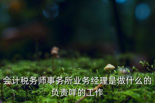 稅務師事務所做什么的，稅務所是干什么的