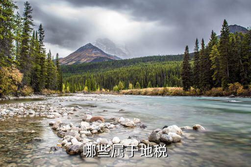 什么是地教稅，印花稅土地使用稅請(qǐng)問酒店要交地教稅土地使用稅是什