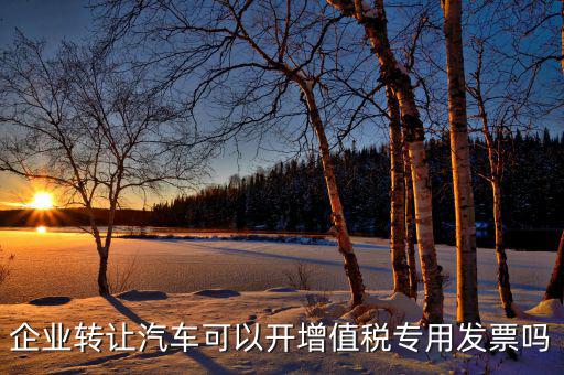 單位二手車轉(zhuǎn)讓未抵稅車開什么票，小企業(yè)出售二手車沒開發(fā)票要付什么憑證