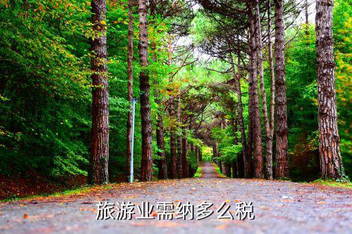旅游業(yè)是什么稅，旅游行業(yè)需要交納什么稅呢