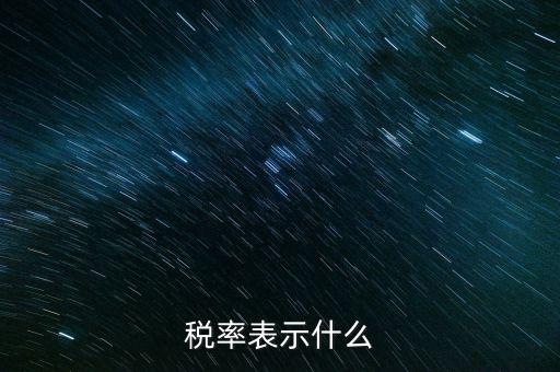 納稅代表什么，稅率表示什么