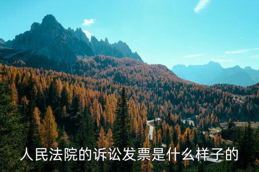 發(fā)票原件是什么樣的，正規(guī)的發(fā)票長什么樣子