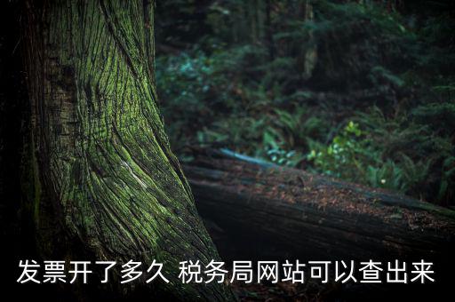 稅局一般什么時(shí)候查發(fā)票，增值稅發(fā)票開多久能在國家稅務(wù)局查到