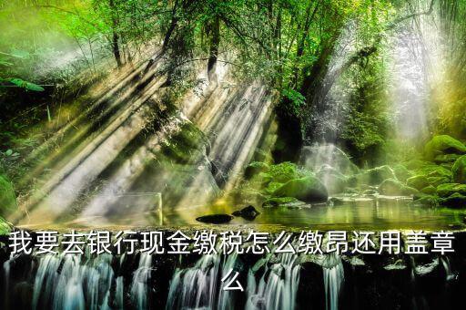 納稅戶銀行交稅除了蓋章還要什么，打印出表來后銀行會直接扣稅么然后還要帶著打出來的表去稅務(wù)