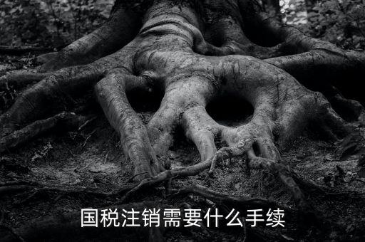 國稅局注銷要什么手續(xù)，國稅注銷需要什么手續(xù)