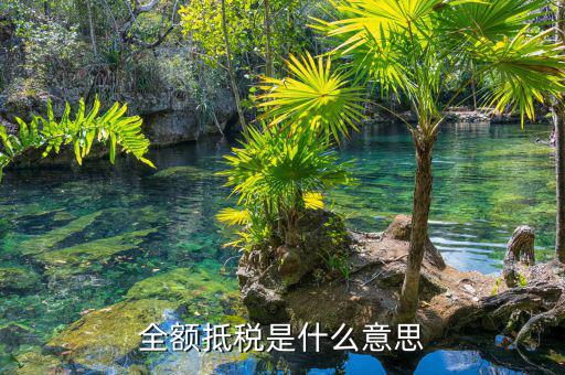 什么叫全額抵p，增值稅的全額抵扣是什么意思