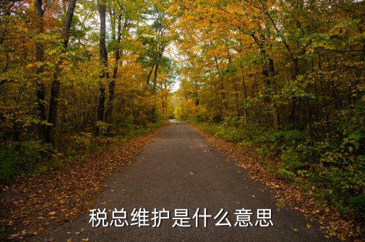 涉稅軟件維護費是什么東東，稅總維護是什么意思