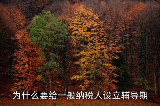 為什么增值稅輔導期，什么是輔導期一般納稅人