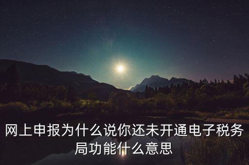 電子稅務(wù)局是干什么，企業(yè)金稅盤系統(tǒng)用來開票抄稅報(bào)稅用那登錄國稅地稅局網(wǎng)站是干嘛的