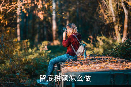 掛賬留底稅額是什么意思，留底稅額怎么做