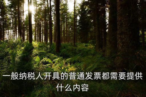 申請(qǐng)普票都需要什么，一般納稅人申請(qǐng)普通發(fā)票所帶的資料