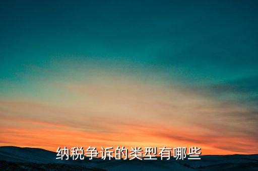 什么是納稅爭議，納稅爭議和稅收處罰分別有哪些