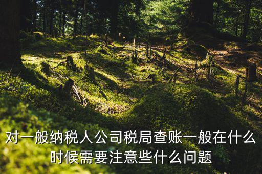 一般地稅稽查會在什么時候，稅務局什么時候會查賬不申報有哪些后果