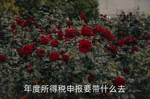 納稅申報應帶什么東西，你好 到稅務局報稅需要帶什么東西怎么報