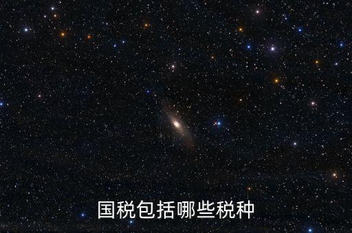 國稅局主要收什么稅，國稅包括哪些稅種