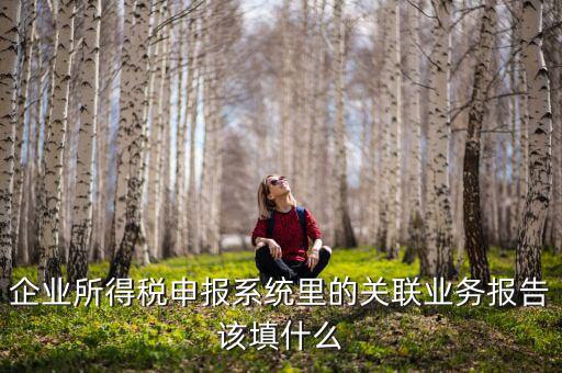 什么情況寫關聯(lián)申報，企業(yè)所得稅申報系統(tǒng)里的關聯(lián)業(yè)務報告該填什么
