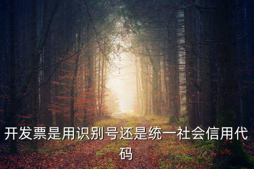 發(fā)票填寫統(tǒng)一社會(huì)代碼是什么，開發(fā)票要的稅號(hào)是統(tǒng)一社會(huì)代碼證號(hào)嗎