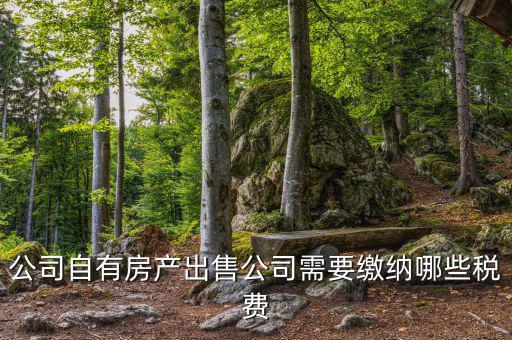 銷售房產(chǎn)公司交什么稅，銷售房產(chǎn)繳納什么稅