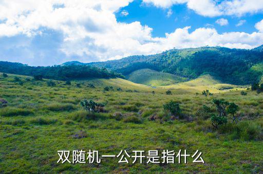 稅務雙隨機一公開是什么意思，雙隨機一公開屬于什么用語比如習語標語或者成語之類的因為