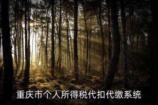 重慶網(wǎng)上繳稅什么網(wǎng)址，重慶市國(guó)稅網(wǎng)網(wǎng)址是多少