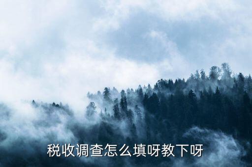 稅收調(diào)查主要調(diào)查什么，企業(yè)所得稅稅收調(diào)查