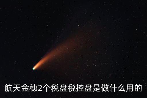 開票軟件兩盤是什么，第二個金稅盤裝開票軟件裝不了也沒有完全安裝這一步啥意思
