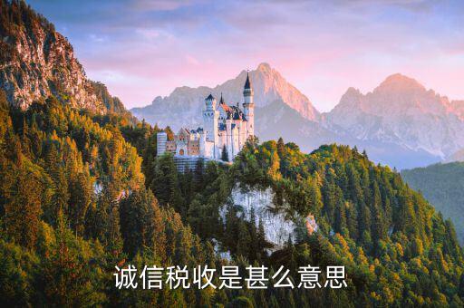 什么是誠(chéng)信納稅，依法誠(chéng)信納稅共建小康社會(huì)是對(duì)的嗎