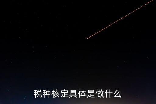 票中核定是什么核定的，哪些情況下要進行國稅票種核定