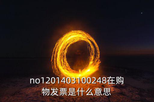 湖南發(fā)票號碼是什么意思，發(fā)票參考號是什么意思