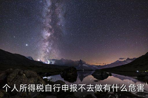 個(gè)稅不申報(bào)有什么后果，個(gè)人所得稅自行申報(bào)不去做有什么危害