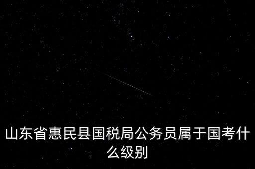 惠民國稅局在什么地方，國稅局在哪里