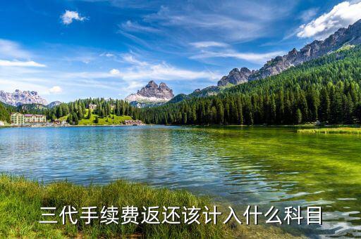 什么叫三代手續(xù)費(fèi)，三代手續(xù)費(fèi)返還該計(jì)入什么科目