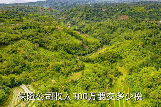保險(xiǎn)公司交什么稅，保險(xiǎn)公司保險(xiǎn)費(fèi)交營業(yè)稅嗎按5交