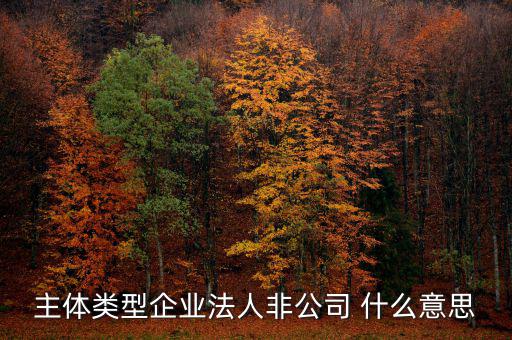 主體類(lèi)型企業(yè)法人非公司 什么意思
