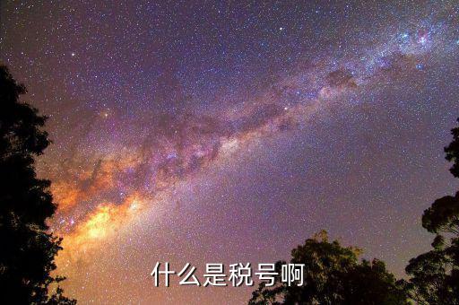 公司稅號(hào)是什么，公司的稅號(hào)一般有多少位