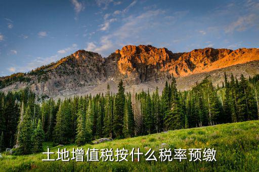 山東省土地增值稅按什么預(yù)繳，山東文登市土地增值稅預(yù)繳稅率是多少