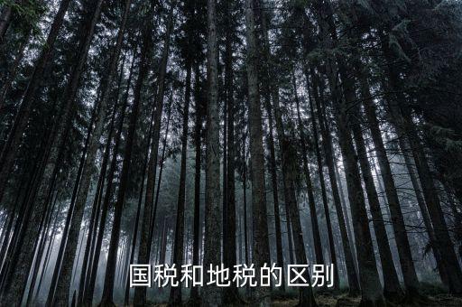 稅務(wù)和地稅什么區(qū)別，國稅和地稅的區(qū)別