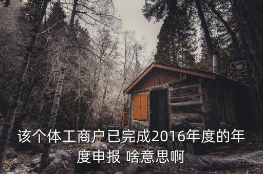 個體戶申報(bào)是什么意思，該個體工商戶已完成2016年度的年度申報(bào) 啥意思啊