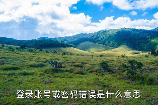 陜西電子稅務(wù)局登錄賬號(hào)是什么意思，登錄賬號(hào)或密碼錯(cuò)誤是什么意思