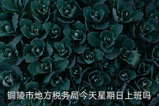 銅陵地稅局在什么地方，銅陵市地方稅務局今天星期日上班嗎
