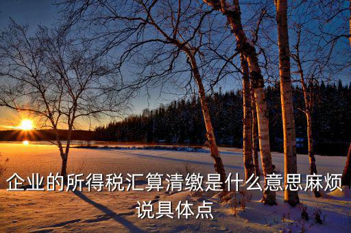 年度匯算清繳什么意思，企業(yè)的所得稅匯算清繳是什么意思麻煩說具體點(diǎn)