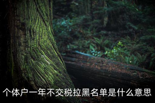 什么是納稅信用黑名單，個體戶一年不交稅拉黑名單是什么意思