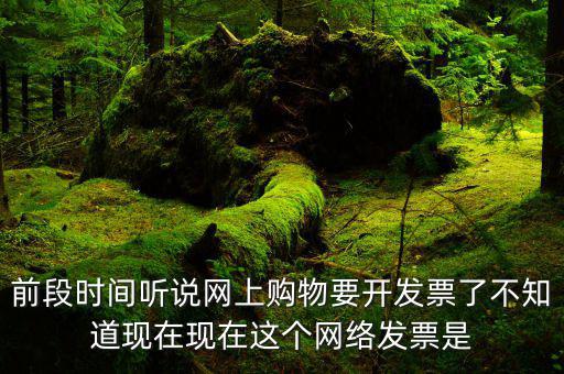 網(wǎng)絡(luò)發(fā)票是什么，在網(wǎng)上買東西電子發(fā)票與普通發(fā)票有區(qū)別嗎