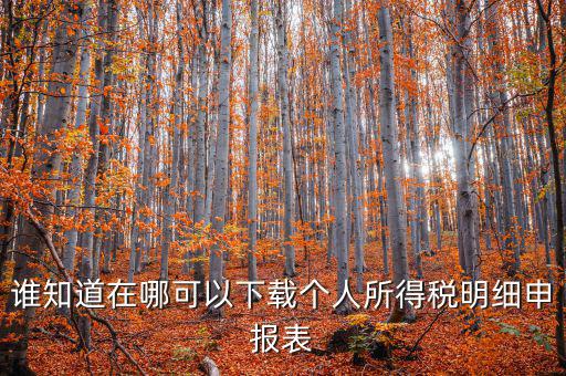 下載什么看申報(bào)稅，誰(shuí)知道在哪可以下載個(gè)人所得稅明細(xì)申報(bào)表