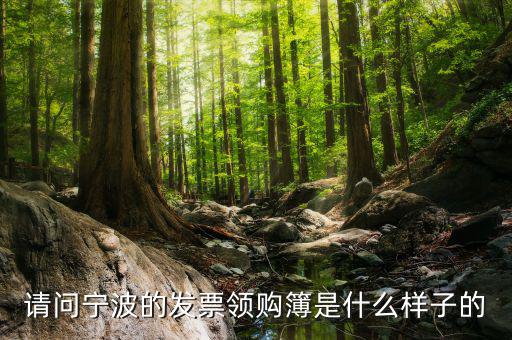 發(fā)票領(lǐng)用簿什么樣子，會計發(fā)票領(lǐng)購沒經(jīng)驗想請問領(lǐng)購的發(fā)票時什么樣的有金額顯示嗎