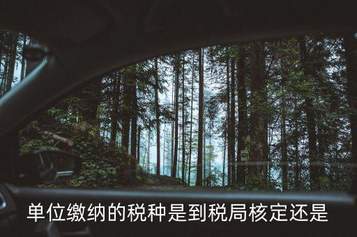 什么時候 稅種核定，單位繳納的稅種是到稅局核定還是